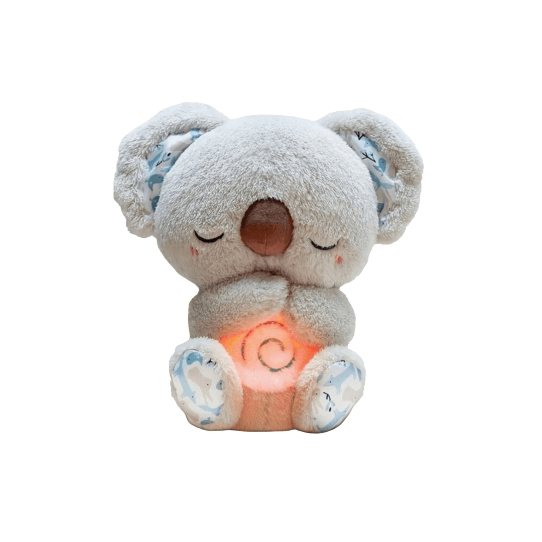 Dreaming Koala