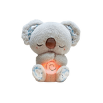 Dreaming Koala