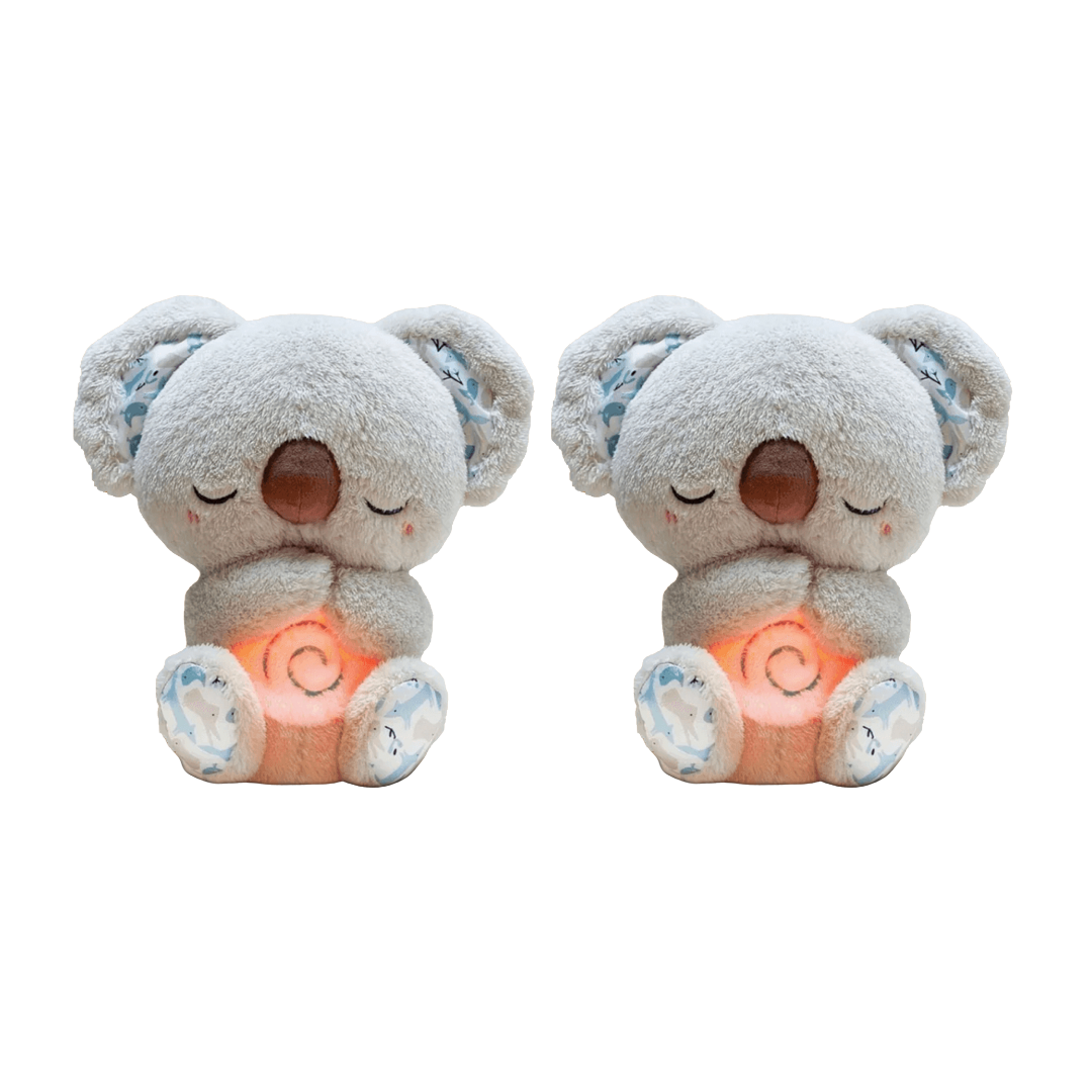 Dreaming Koala