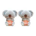 Dreaming Koala