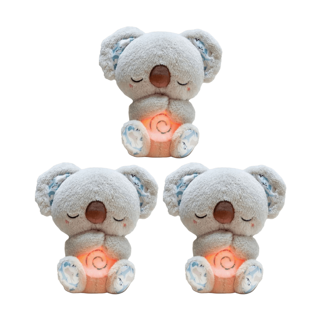 Dreaming Koala