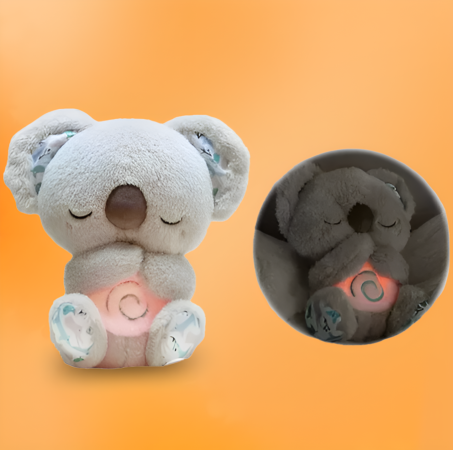 Dreaming Koala